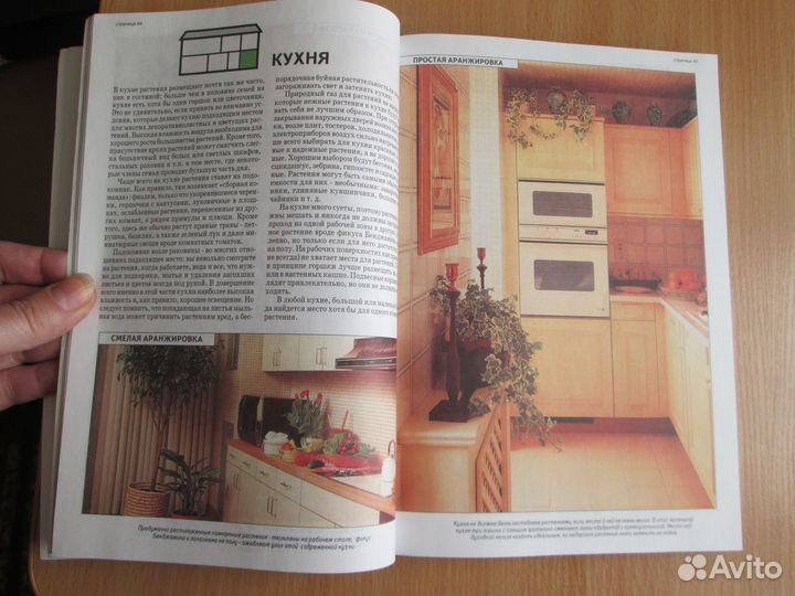 Всё о комнатных растениях