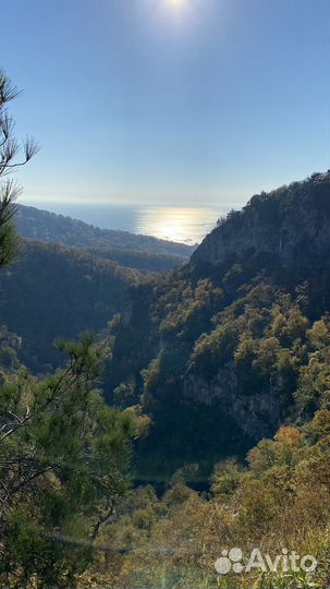 Экскурсии по Сочи