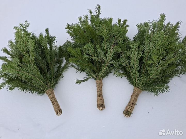 Веники для бани пихта