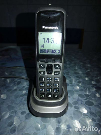 Panasonic