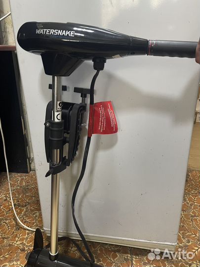 Электромотор watersnake