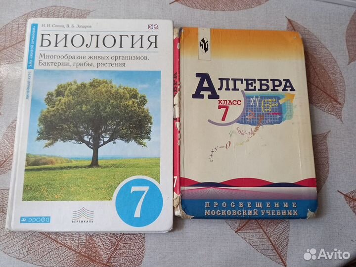 Книги 7 класса