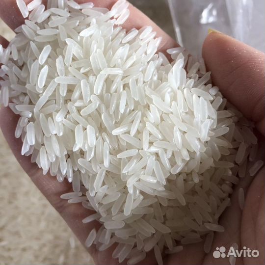 Рис Лазер Хоразм, оптом