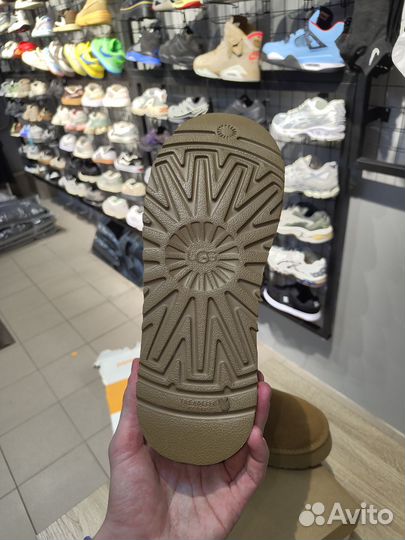 Угги женские зимние натуральные ugg