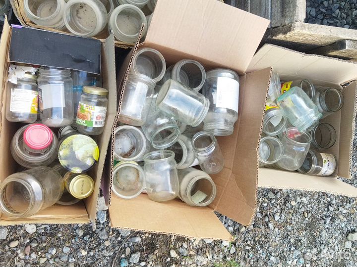 Банки стеклянные бесплатно