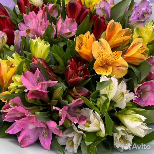 Стойкий букет Альстромерий