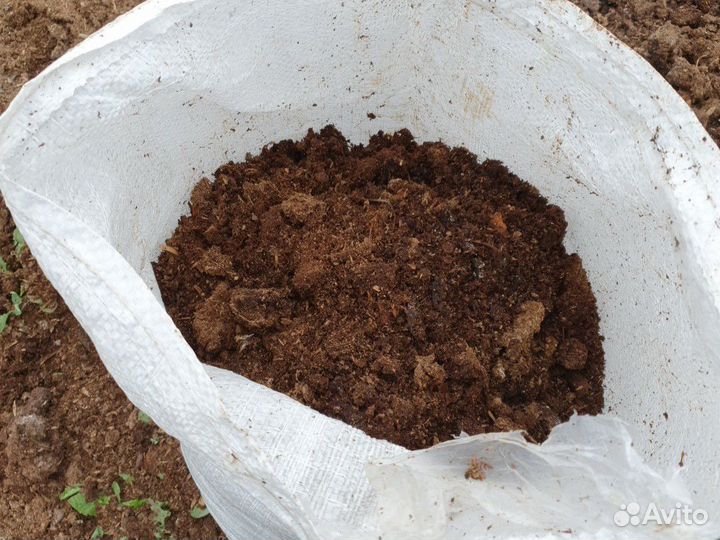 Перегной куриный