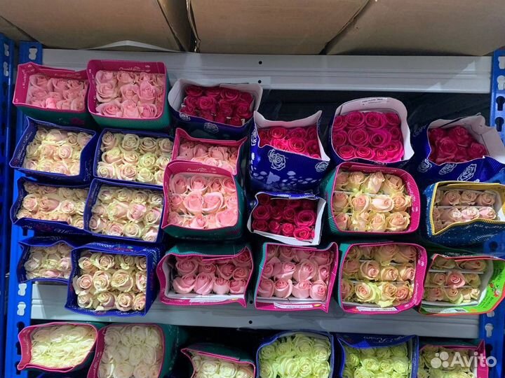 Цветы оптом в ваш город