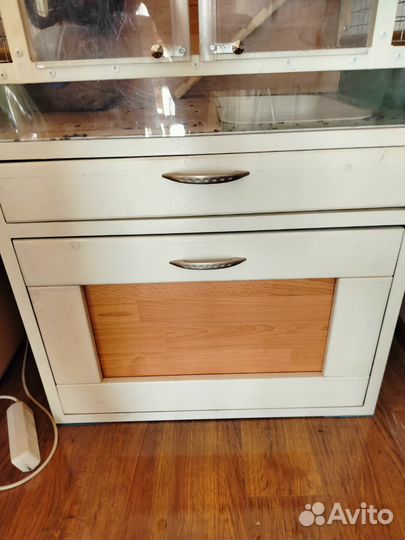 Шиншиллы с клеткой и всем что им необходимо