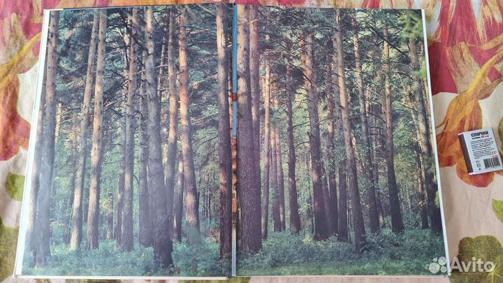 Книга с цветными фото