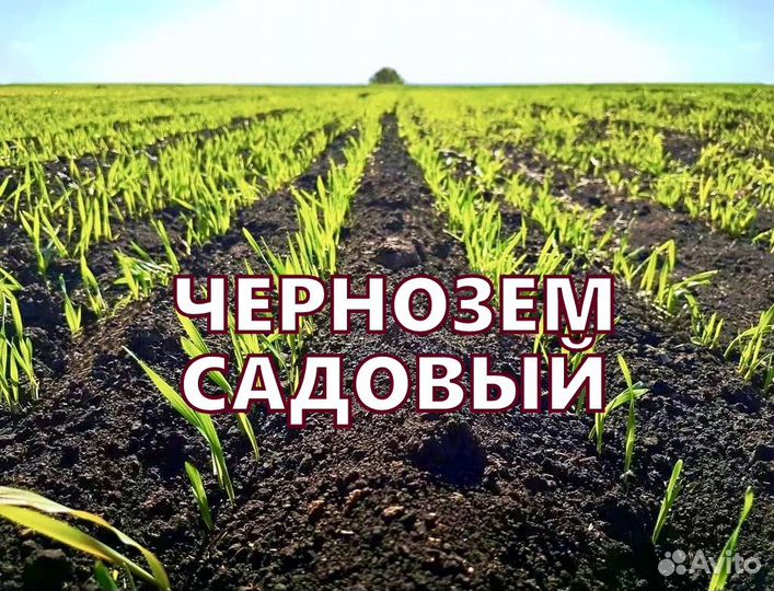 Чернозем садовый, быстро и качественно от 1тонны