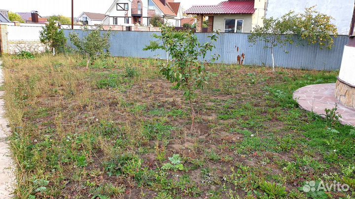 Рулонный газон