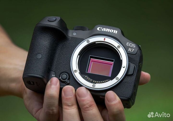 Фотоаппарат Canon EOS R7 body