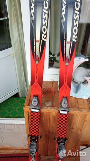 Горные лыжи с ботинками 43
