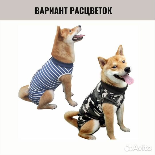 Послеоперационная попона для собак BodyPet