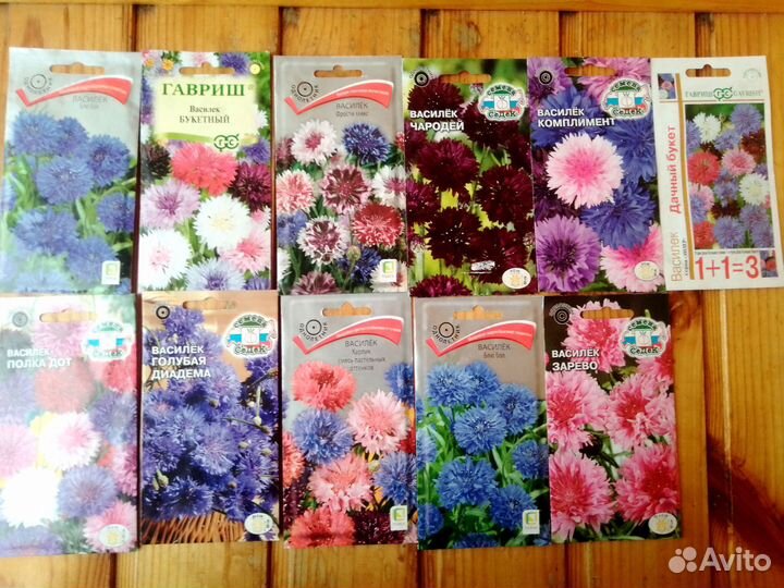 Рассада разная в стаканчиках