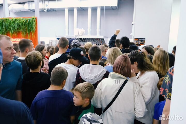 Бизнес на шаурме Безумно