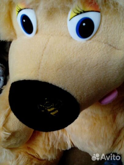 Медведи,собака