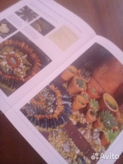 Книга о дизайне сада, декор