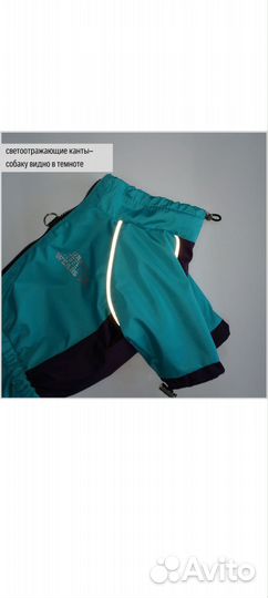 Одежда для маленьких собак