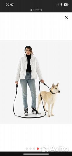 Staya. Поводок-перестежка + ошейник S
