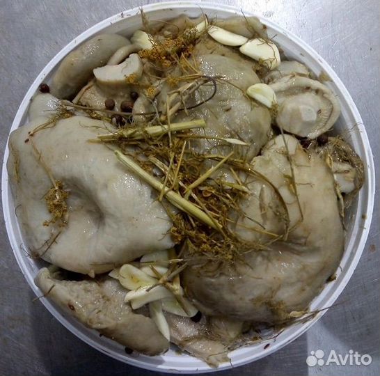 Грузди солёные опт