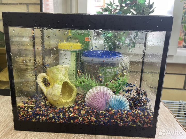 Аквариум для петушка