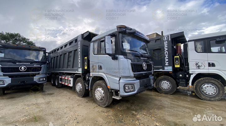 Shacman (Shaanxi) SX33186V366, 2023