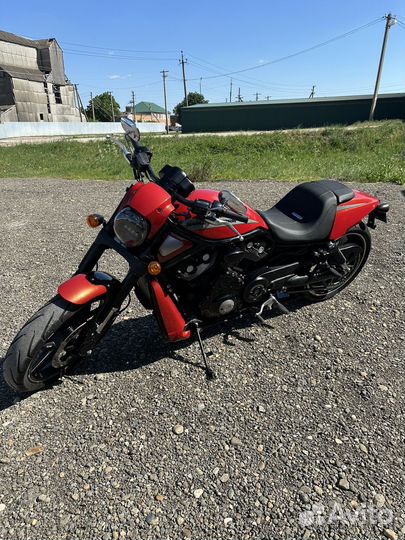 Harley-davidson night ROD 1250. (V-ROD) 2014гв