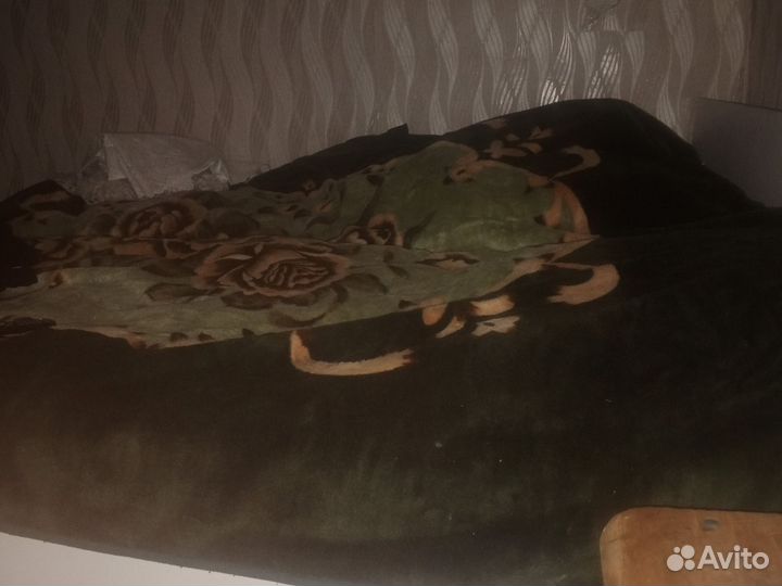 Сдаю койка места