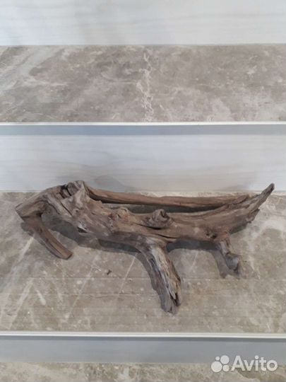 Коряга с Волги