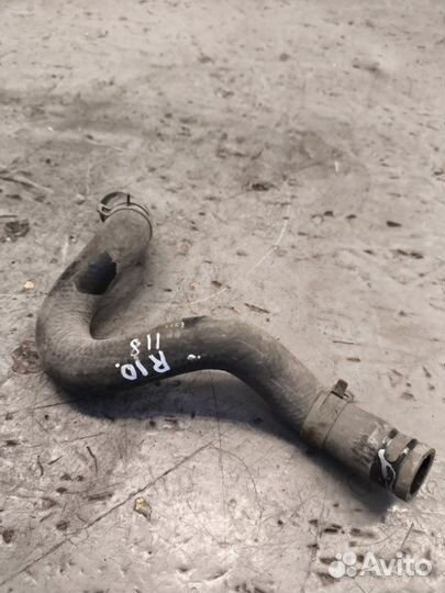Патрубок Kia Rio 3 1.4 2016