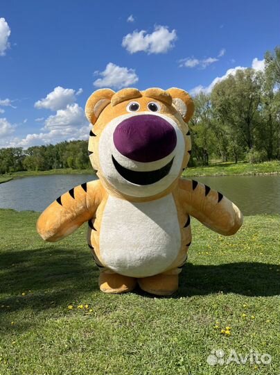 Тигр на праздник, день рождения