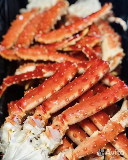 Парной камчатский краб вылов 16.06.23