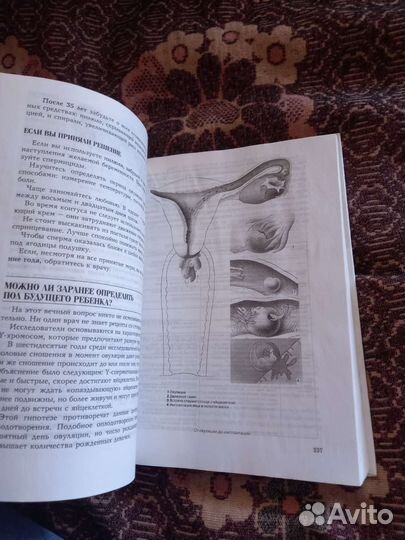 Девочка-девушка-женщина