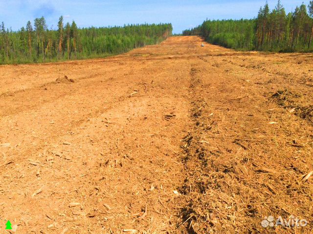 Расчистка территории от деревьев и кустарников