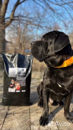 Корм для собак холистик/супер премиум