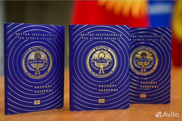 Гражданство Кыргызстана (Киргизии)