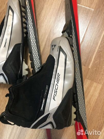 Беговые лыжи fischer