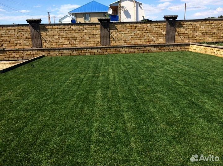 Рулонный газон с укладкой от производителя