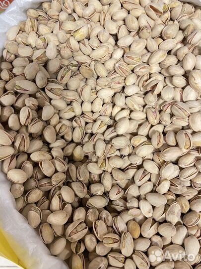 Орех грецкий Узбекистан