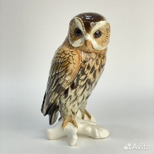 Сова No.8880