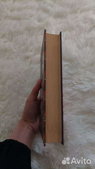 Романы Мадонна семи холмов, Лукреция во всем блеск