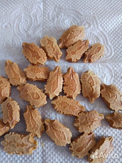 Момордика семена