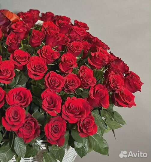 Композиция из 125 роз Explorer в корзине