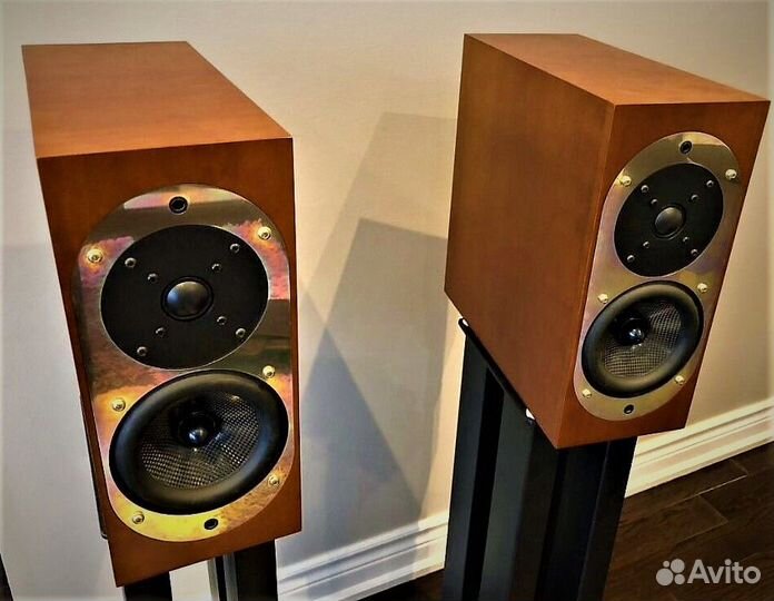 Hi-End ASW Genius-100 (Made in Germany)