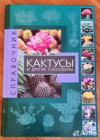 Кактусы и другие суккуленты справочник
