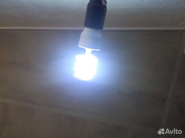 Уф лампа для террариума