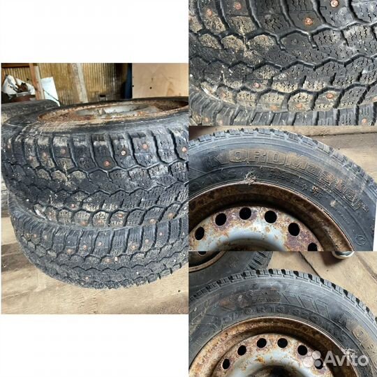 Amtel NordMaster 175/70 R13