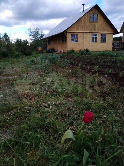 Дача 35 м² на участке 11 сот.